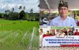 Pemprov Bali Bergerak Cepat, Proses Sertifikasi Organik Kawasan Padi KMP BBS – Poktan SAS Buleleng