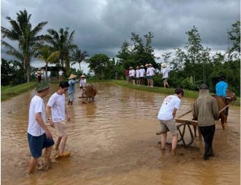 Pansus TRAP DPRD Bali Perketat Pengawasan Jatiluwih, Siapkan Solusi Inovatif untuk Jaga Warisan Budaya Dunia