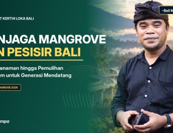 Grafis editorial ulasan Agung Gempa tentang penanaman mangrove, perlindungan ekosistem pesisir, dan gerakan lingkungan Bali